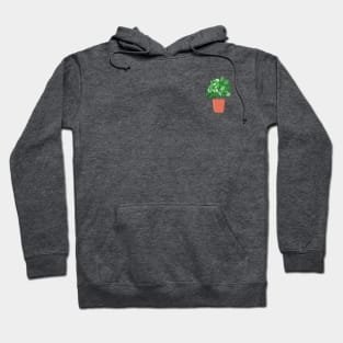 Herb Garden/Basil Leaf Plant Hoodie